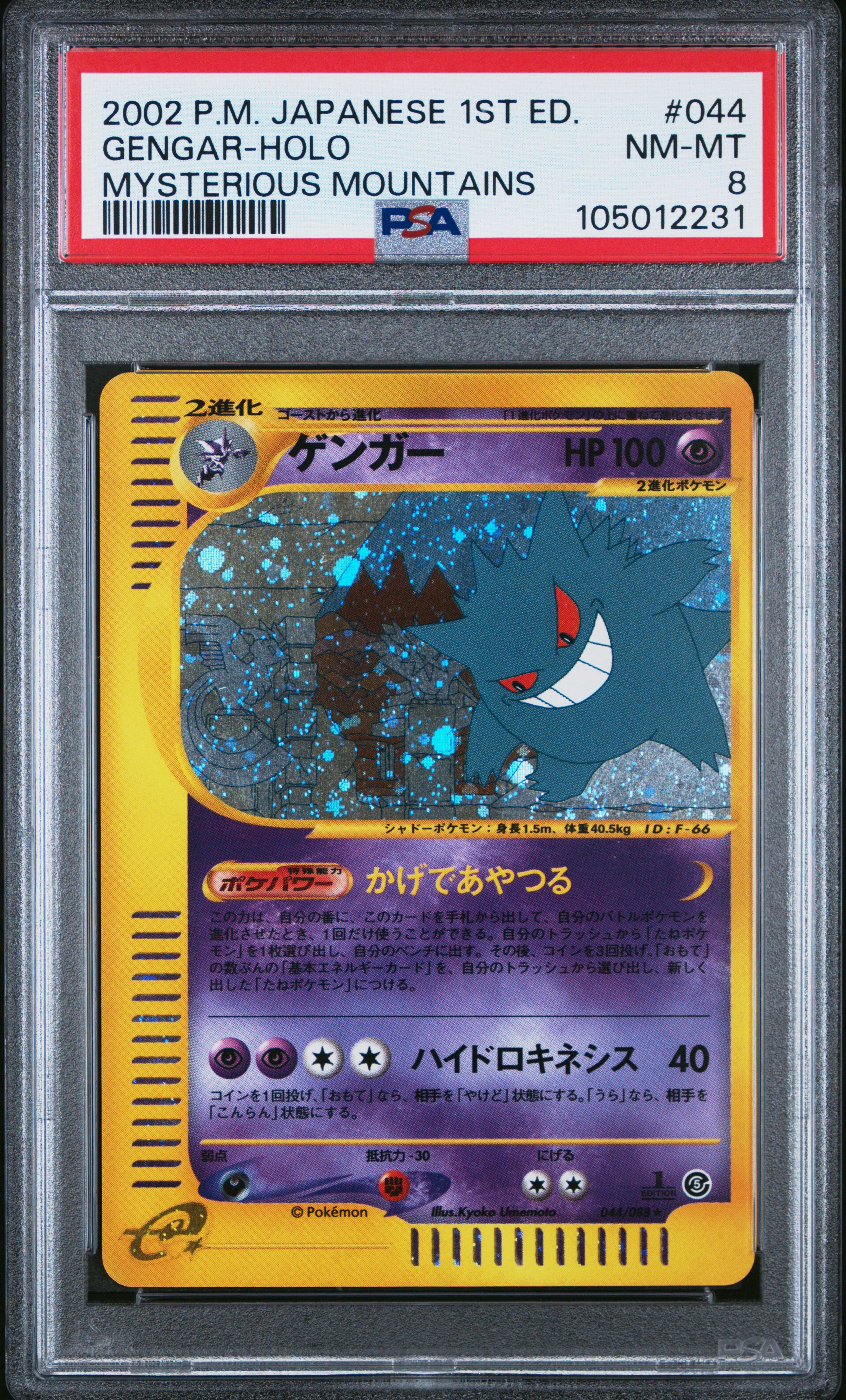 Gengar Holo 1st Ed Mysterious Mountains 2002 Skyri PSA 8 NM-MT